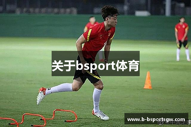 关于bsport体育